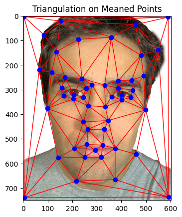 Triangulation on Mean Shape